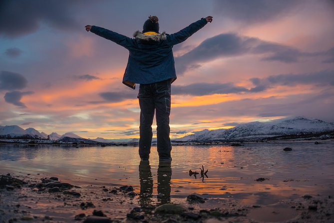 Winter Fjord Road Trip with Wandering Owl - Guides, group size, and the feel of the ride
