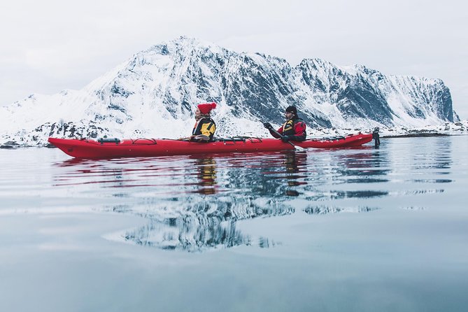 Winter Half Day Kayak Tour - Key points to know before you paddle