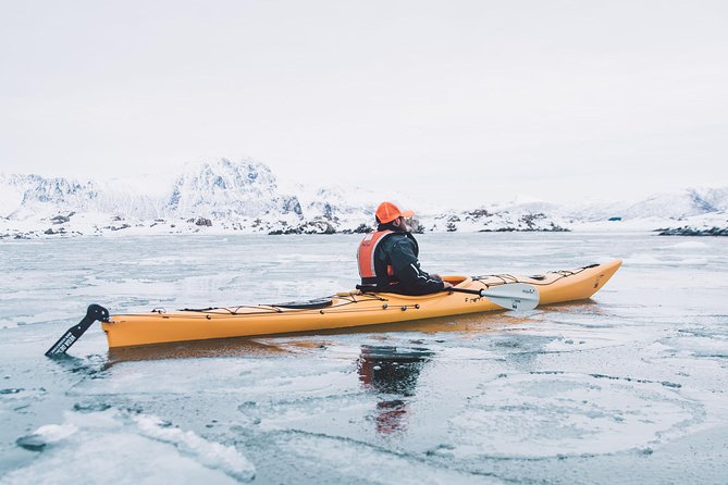 Winter Half Day Kayak Tour - The warm break that makes the cold worthwhile