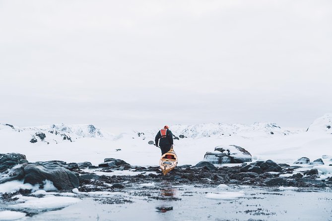 Winter Half Day Kayak Tour - What the three-hour format means for you