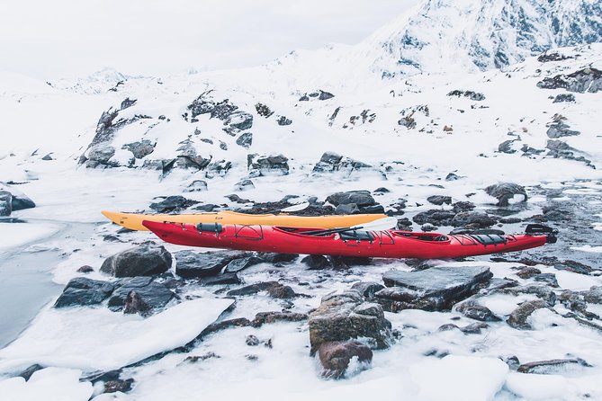 Winter Half Day Kayak Tour - Is $118.45 a fair price?