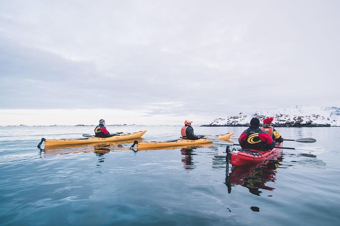 Winter Half Day Kayak Tour - Who should book this Eggum kayak trip?