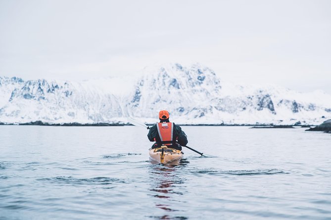 Winter Half Day Kayak Tour - Weather, cancellations, and useful planning advice